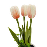 3 Pack Artificial Potted Flowers Small Faux Plants In White Pot Mini Artificial Tulips Potted Flower For Bathroom Home Office Desk Table Shelf Decoration Indoor