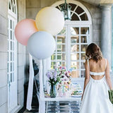 30Pcs Pastel Balloons 18 Inch Large Pastel Balloons Big Round Pastel J