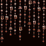 46Ft Rose Gold 13th Birthday Decorations Star/Dot Garlands & Streamers (14M)