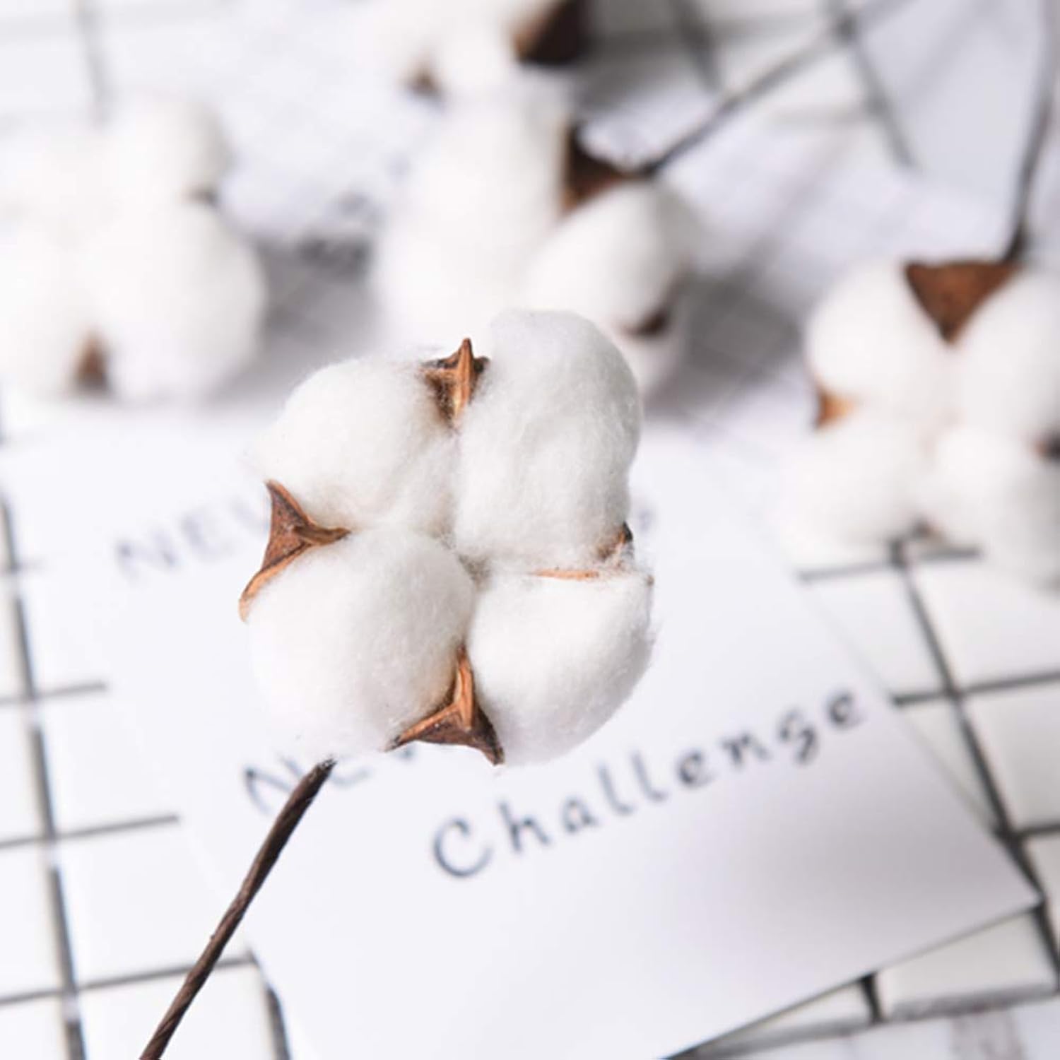 Cotton Stems 8 Packs With 15 Bolls, Natural Dried Flowers Cotton Sprigs For Vase Fillers And Floral Arrangements - Fall Decorations And Diy Crafts