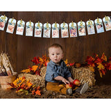 Pumpkin 1st Birthday Photo Banner Blue Milestone Display for Baby Party