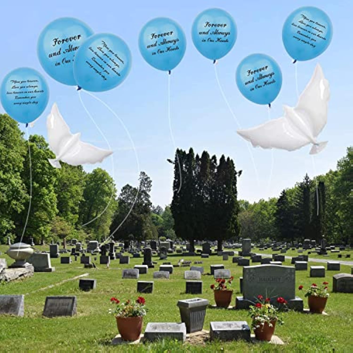 26 Blue Biodegradable Memorial Balloons with Large Dove for Funeral or Remembrance Release