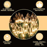 63.8Ft Green Wire Clear String Lights, 300 Count (150L*2Pcs) Incandescent Christmas Lights