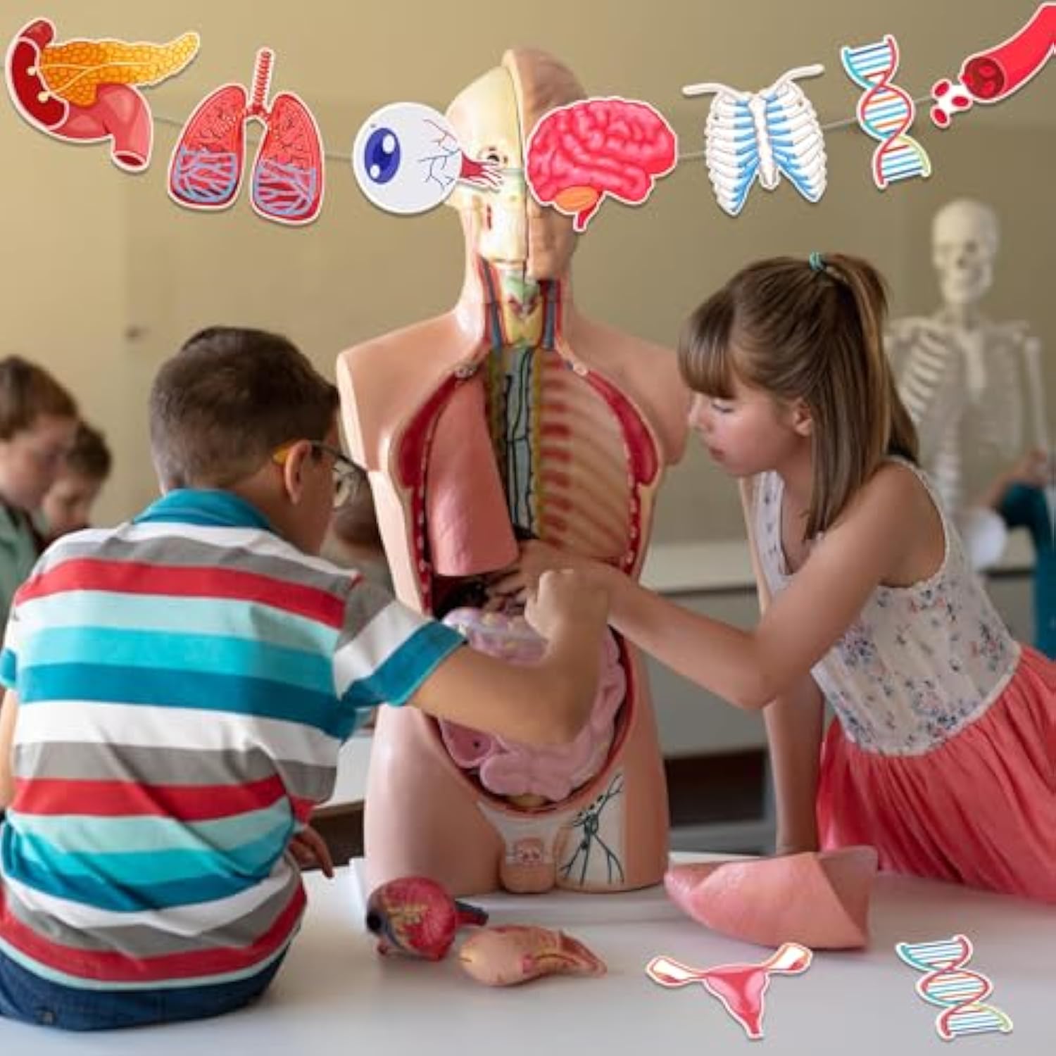 28-Pc Anatomy Hanging Banner Set Human Body Classroom & Science Party Decor