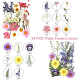 Baby in Bloom Flower Cake Toppers with Pressed Flowers for Wedding & Parties