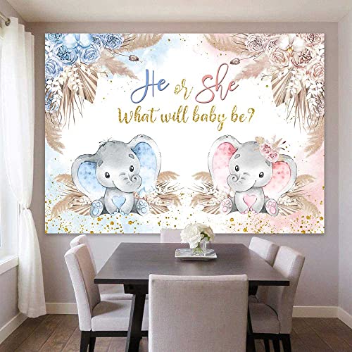 Boho Elephant Gender Reveal Backdrop He or She What Will Baby Be Gender Reveal Party Decorations Pink Blue Pampas Grass Photography Background Boy or Girl Baby Shower Photoshoot Props 7x5ft