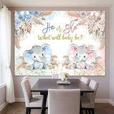 Boho Elephant Gender Reveal Backdrop He or She What Will Baby Be Gender Reveal Party Decorations Pink Blue Pampas Grass Photography Background Boy or Girl Baby Shower Photoshoot Props 7x5ft