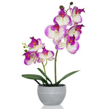 Purple Orchid Artificial Flowers 2 Stems In Grey Pot, Potted Faux Orchid Flower For Home Bathroom Table Living Room Office Kitchen Decor