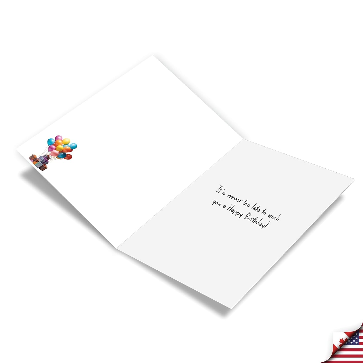 , Funny Birthday Paper Card With 5 X 7 Inch Envelope (1 Card) Bday Sister, Never Too Late Woman C10789Bdg
