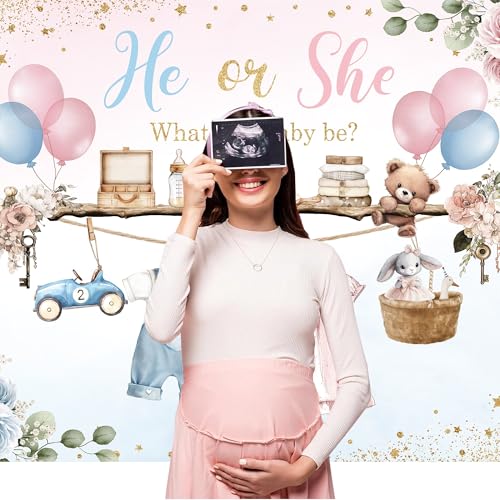 Gender Reveal He Or She Pink Photography Backdrop