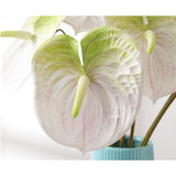 8 Pcs 24Inch Artificial Anthurium Lily Flowers Permanent Flower For Home Decoration Bouquet And Green Leaf,Wedding Festival Decoration Flower Arrangement (White)