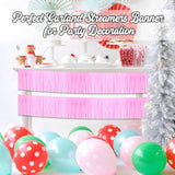 4 Pack 10 Ft Macaron Pink Foil Fringe Garland Metallic Streamers Tinsel Banner Wall Hanging Garland Backdrop For Parade Floats, Graduation, Theme Party, Carnival, Birthday, Wedding Party Decorations