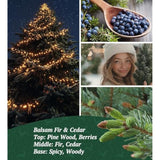 Merry Christmas Candles With Warmer Led, Christmas Decor Gifts Winter Candle With Pine Wood Spice Scents, Cypress Candle Over 40 Hours Burn Time, Home Decorations Indoor, 100% Soy Wax,White