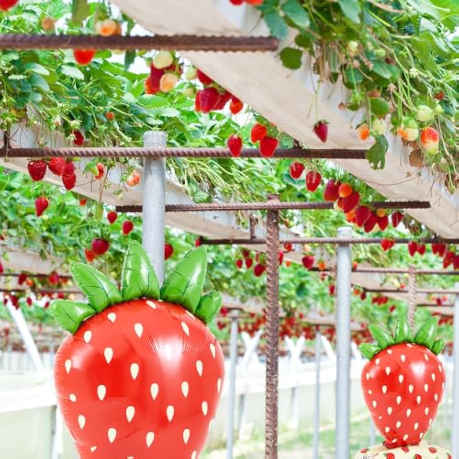 2 Pack 4 Ft Giant Standing Foil Balloon Summer Party Decorations Aluminum Balloons For Berry First Birthday Summer Themed Parties(Strawberry)