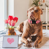 Valentine'S Day Dog Collar-Cotton Heart Dog Collars, Adjustable Valentine Heart Pet Collars Puppy Collar With Quick Release Buckle For Girl&Boy Dogs