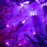 200 Purple Led Christmas Lights With Purple Wire, Pack Of 2 Strands 33 Feet 100 Lights Ul Certified Holiday String Light