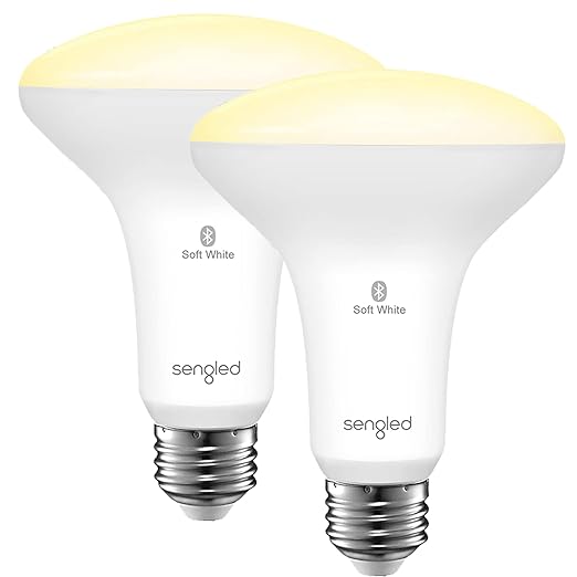BR30 Smart Alexa LED Light Bulb 2 Pack Warm White Flood Light E26 No Hub Required