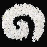 1600Pcs White Buttons For Crafts Assorted Sizes Button White In Bulk W