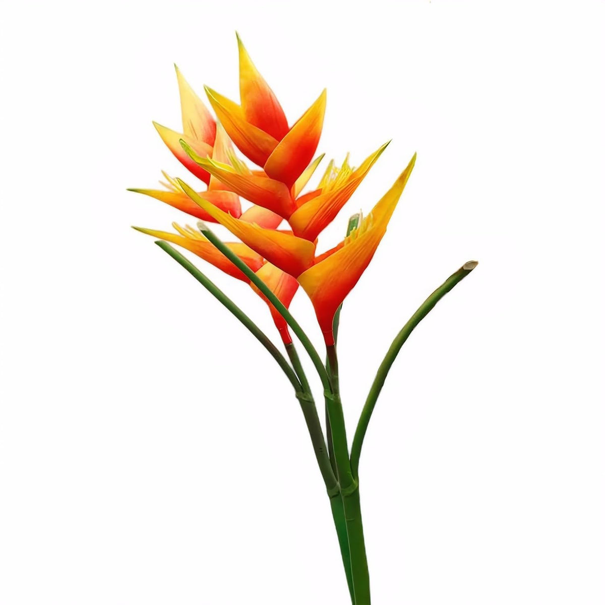 2Pcs Artificial Heliconia 33.5" Long Stem Latex Faux Bird Of Paradise Fake Tropical Flowers For Vase Bouquets Home Office Wedding Decor(Orange)