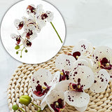 5 Pcs Artificial Orchid Flowers And 2 Bundles Leaves?White With Spots Artificial Phalaenopsis Flowers 28 Inch Stem Plants For Home Wedding Decoration