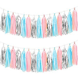 Gender Reveal Tissue Paper Tassel Banner for Wedding,Birthday,Baby Shower Party Decorations?DIY Kits?Pink?Blue?Silver?15PCS