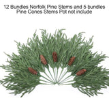 Artificial Christmas Norfolk Pine Stems Branches For Vases,12 Bundles Faux Pine Branches With 5 Pcs Big Pinecones Stems Fake Greenery Evergreen Real Touch For Holiday Winter Table Xmas Decor
