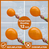 Burnt Orange Balloon Garland Kit: Fall Party Decorations (130pcs)