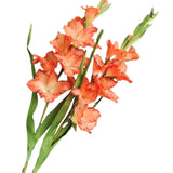 Long Stem Artificial Gladiolus Flower, Set Of 2, Home/Wedding/Office Decor (Orange)