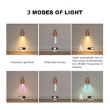 2 Pack Walnut Night Lights With Motion Sensor & Rgb Touch Control | Usb-C Rechargeable Wood Wall Sconces Set For Bedroom Pair, Hallway, Staircase, Bathroom Vanity (Luxury Bundle)