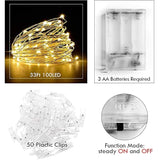Photo Clip String Light - 33Ft 100Led Fairy Lights With Clips For Pictures With Timer, Photo Light With 50 Clear Clips F