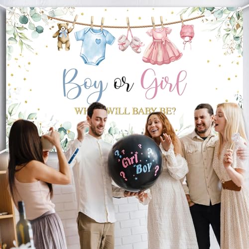 Gender Reveal Decorations Backdrop Banner for Boy Girl 6x3.6ft
