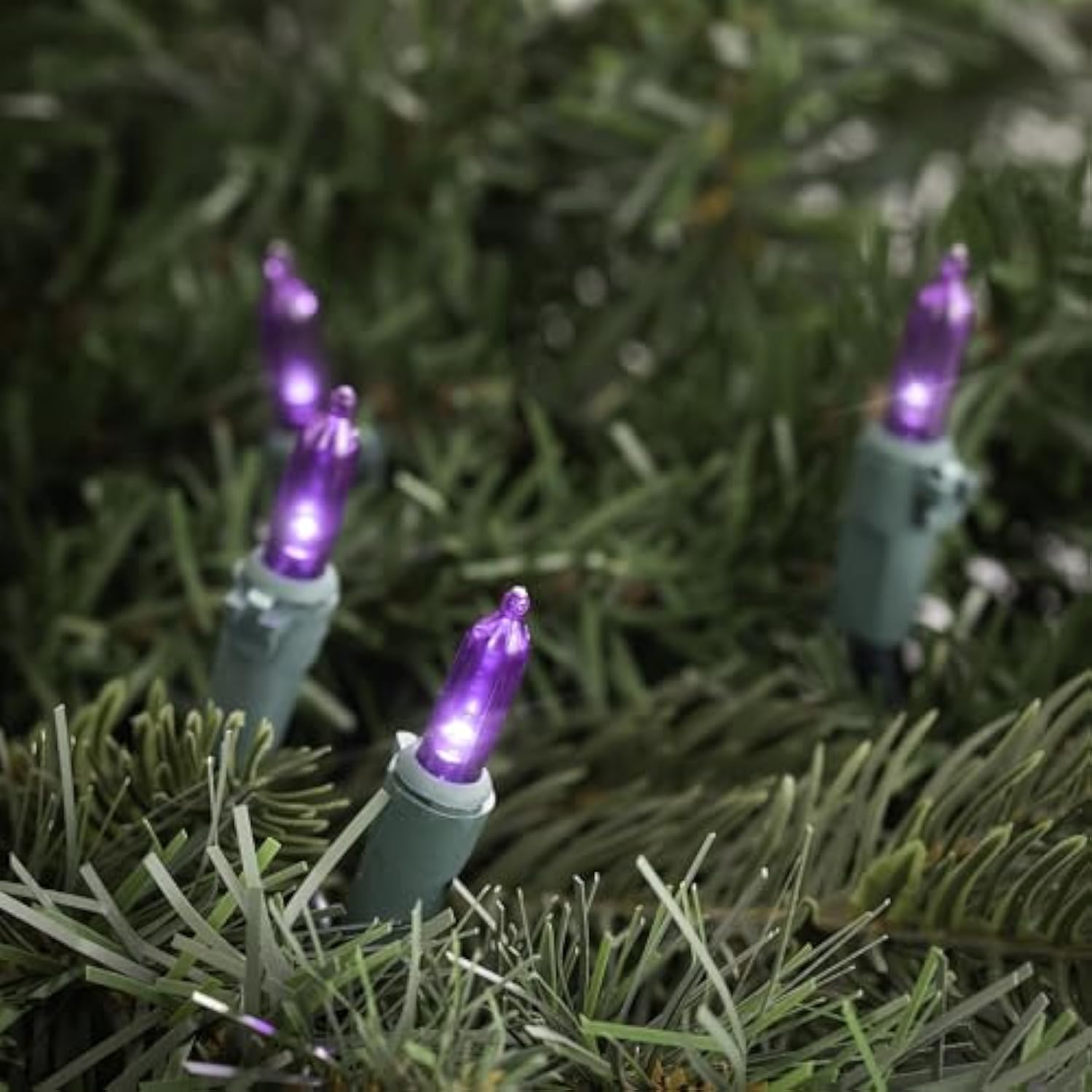 Led Mini Christmas Lights - Purple - 33' Green Wire - 100Ct