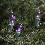 Led Mini Christmas Lights - Purple - 33' Green Wire - 100Ct