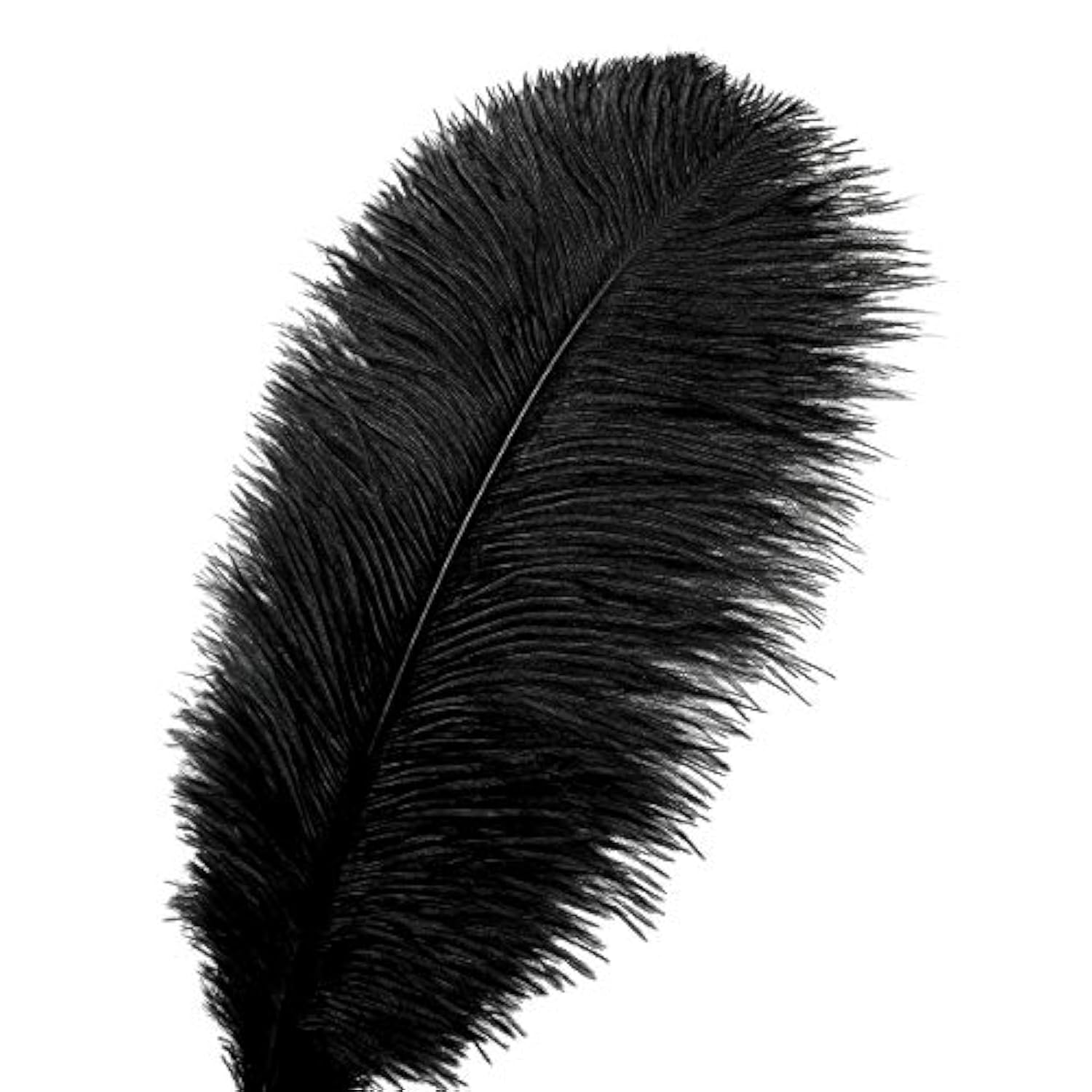 24Pcs Natural Black Ostrich Feathers 10-12Inch (25-30Cm) For Wedding Party Centerpieces?Flower Arrangement And Home Decoration.