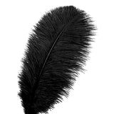 24Pcs Natural Black Ostrich Feathers 10-12Inch (25-30Cm) For Wedding Party Centerpieces?Flower Arrangement And Home Decoration.