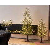 Lighted Christmas Norfolk Pine Tree 416 Led Fairy Lights 6Ft Plug In, Faux Pine Tree Lights For Indoor Outdoor Home Holiday Decoration