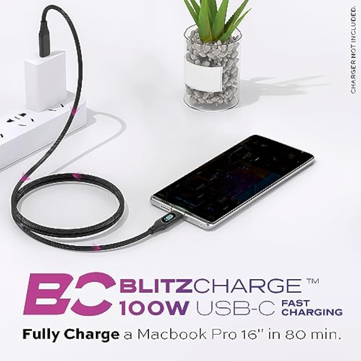 Trucharge 100W Usb C Cable With Led Digital Display And Silicone Organizer - S