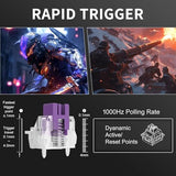 60% Rapid Trigger Gaming Keyboard, Hall Effect Magnetic Switch, Actuation Point Adjustable, Hot Swappable Rgb Backlit Wired Keyboard With Arrow Keys For Win/Pc/Mac, Black