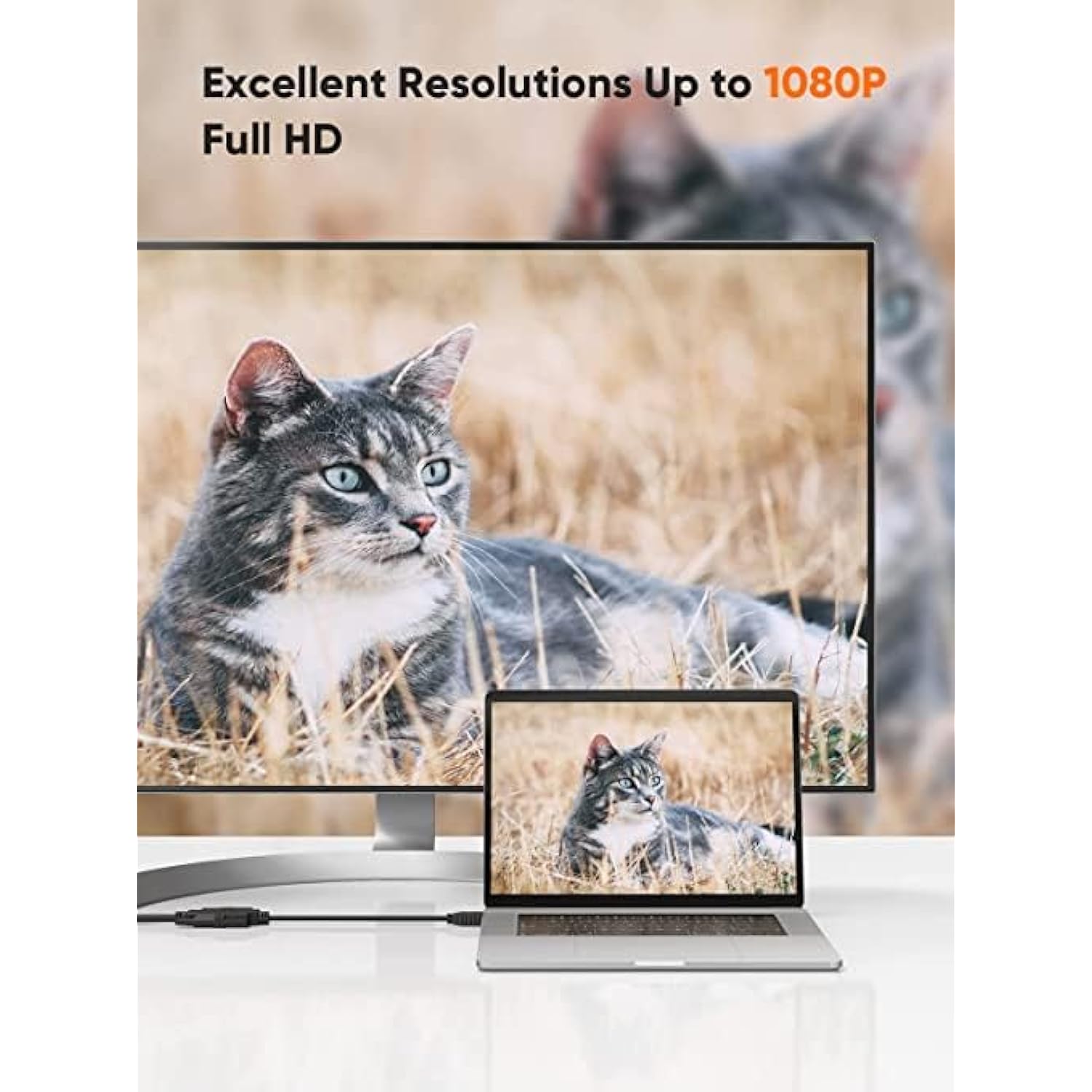 CableCreation HDMI Male to DVI Female 0.5ft [5 Pack], Bi-Directional HDMI Male