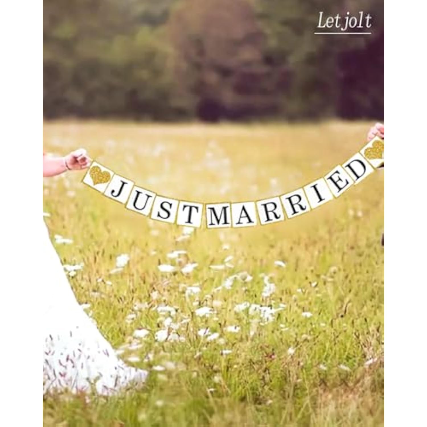 Just Married Paper Wedding Garland Proposal Engagement Party Decorations 6Ft