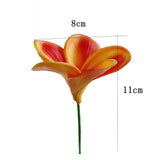 10Pcs Natural Real Touch Artificial Not Silk Plumeria Flowers Head With Stem For Diy Cake Decoration And Wedding Bouquets (Orange)