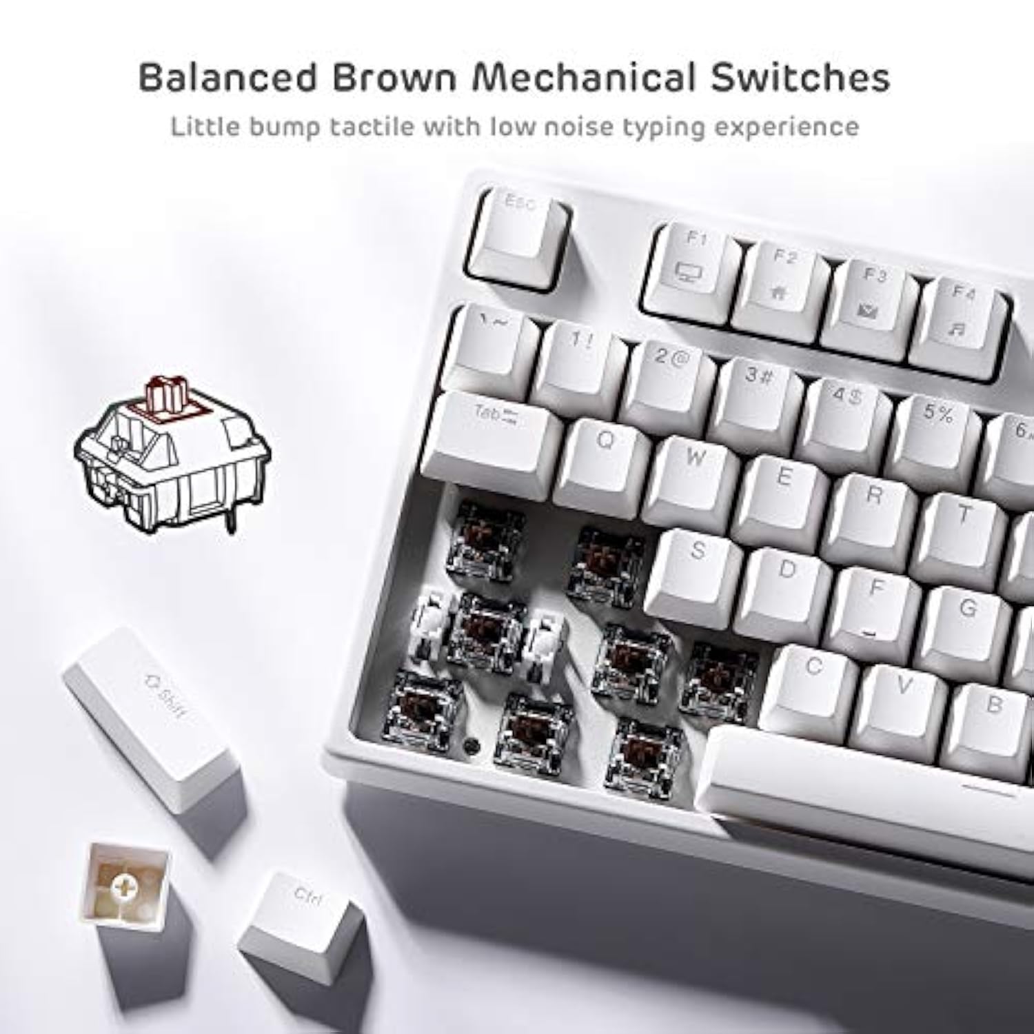 Rk87 Sink87G Rgb 80% Mechanical Keyboard, Wireless 2.4G Tenkeyless Mechanical