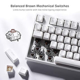 Rk87 Sink87G Rgb 80% Mechanical Keyboard, Wireless 2.4G Tenkeyless Mechanical