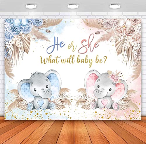 Boho Elephant Gender Reveal Backdrop He or She What Will Baby Be Gender Reveal Party Decorations Pink Blue Pampas Grass Photography Background Boy or Girl Baby Shower Photoshoot Props 7x5ft