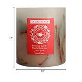 Claire Burke Decorative Botanical Candle, Applejack & Peel Scent 18 Ounces, 1 Count