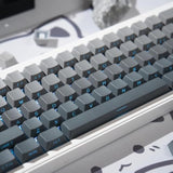 Pbt Doubleshot Keycaps 134 Keys Gradient Gray Backlit Oem Profile Keycaps Full