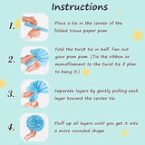 12 Pcs Tissue Pom Poms Kit, Tissue Paper Flowers For Birthday, Boy Baby Shower, Nursery, Graduation, Bachelorette Party Decoration (Blue Mix)