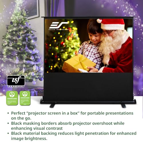 ezCinema 2 Projector Screen, Aluminum, Black