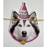 Funny Dog Birthday Garland Puppy Face "Happy Birthday" Bunting Banner Decor