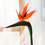 4Pieces Bird Of Paradise Permanent Flower Uv Resistant No Fade Flower Made Of Soft Rubber Pu For Diy Home Artificial Flower Decor 32Inch Large (Orange Red)